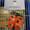 Assorted Merchandise Retail