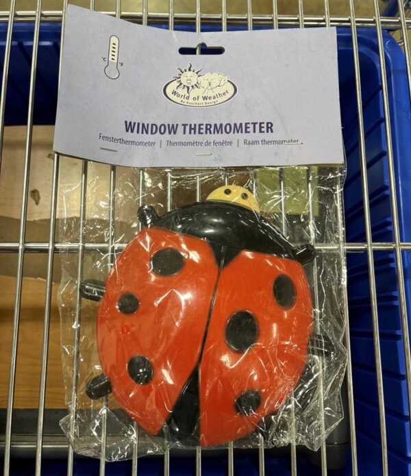 Assorted Merchandise Retail