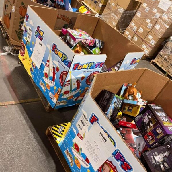 Amazon overstock toys pallets bulk