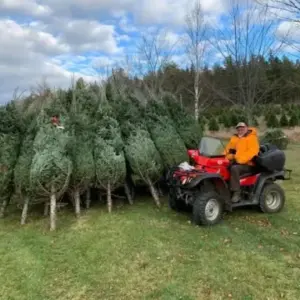 artificial Christmas trees bulk wholesale